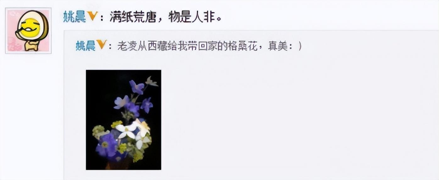 姚晨凌潇肃(姚晨和凌潇肃、唐一菲的瓜)