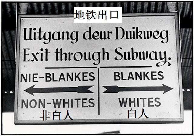 南非开普敦(大量南非民众迁往开普敦工作生活)