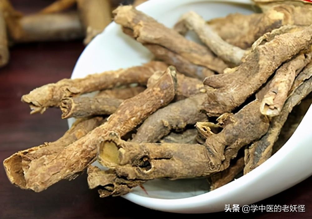 五加皮酒（每日一中药——五加皮）