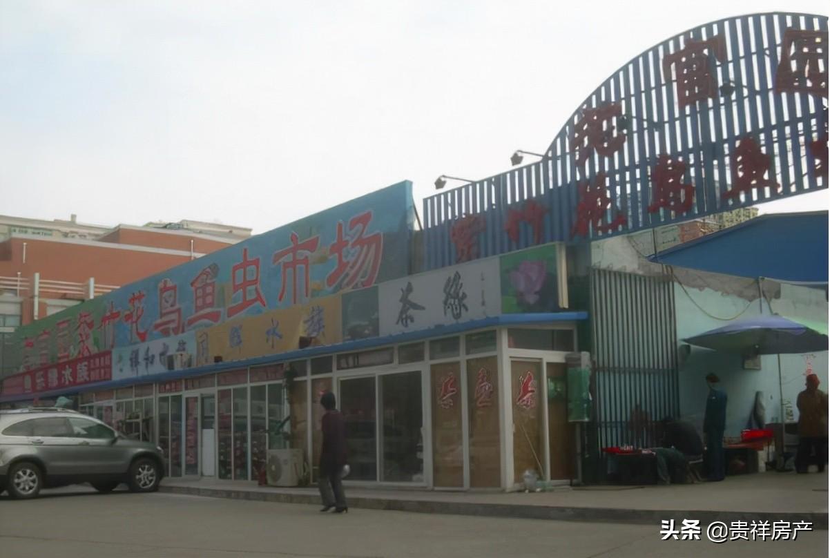 北京花鸟鱼虫市场（北京哪里还有花鸟鱼虫市场？）
