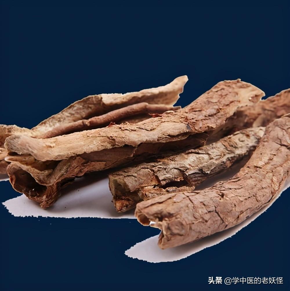 五加皮酒（每日一中药——五加皮）