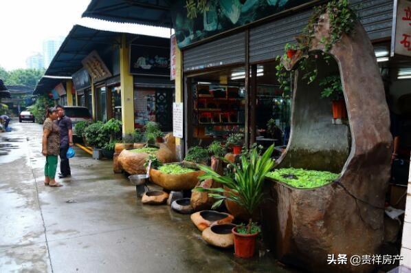 北京花鸟鱼虫市场（北京哪里还有花鸟鱼虫市场？）