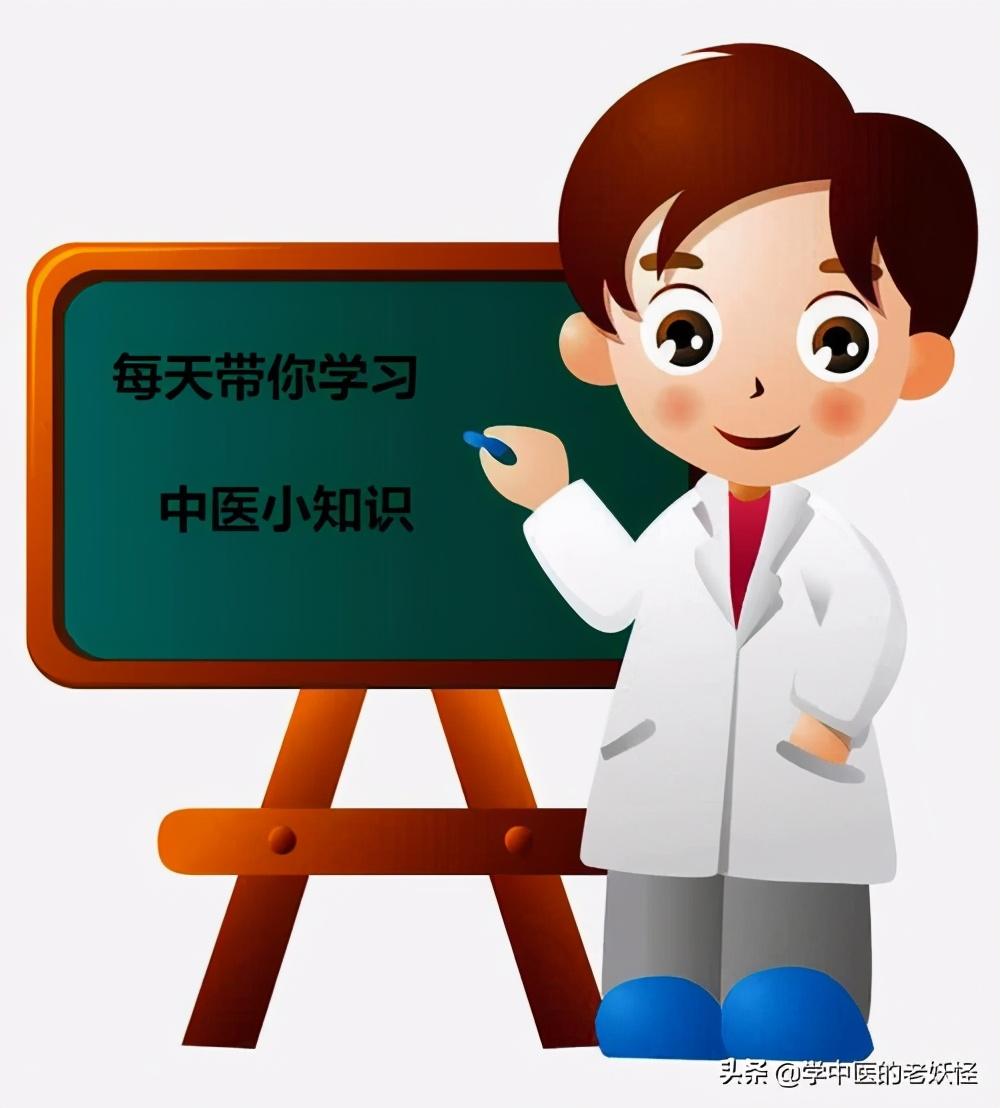 五加皮酒（每日一中药——五加皮）