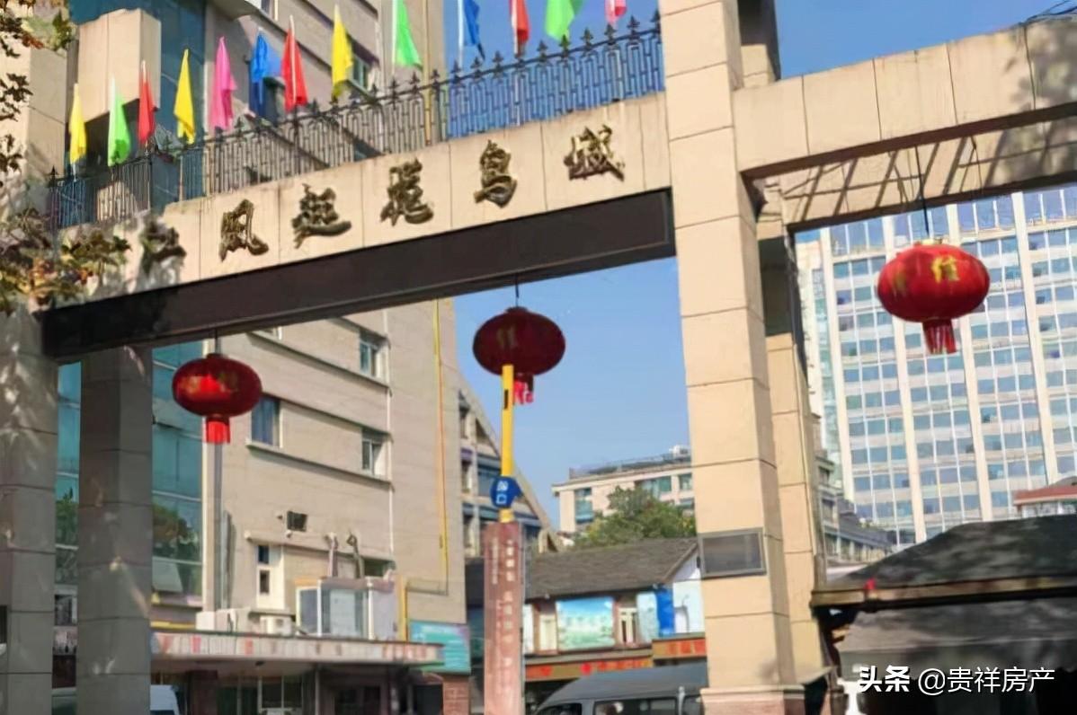 北京花鸟鱼虫市场（北京哪里还有花鸟鱼虫市场？）