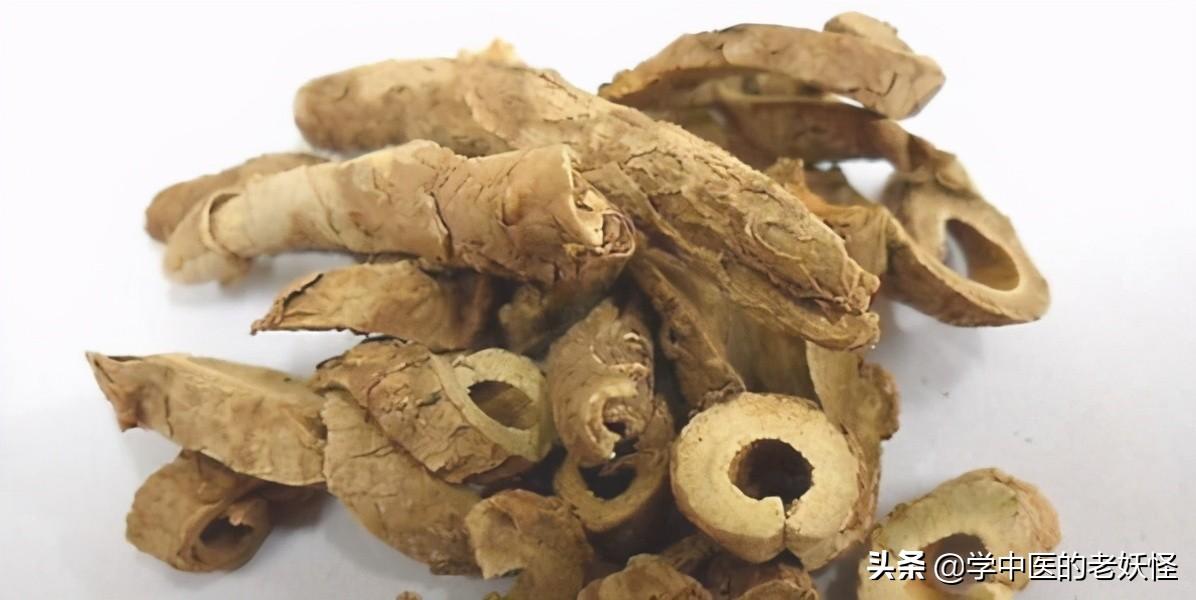 五加皮酒（每日一中药——五加皮）
