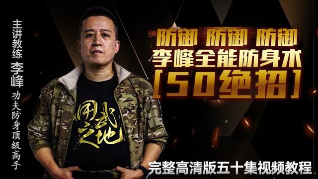 无限制格斗术（无限制的搏击格斗招式，简单实用，容易学）