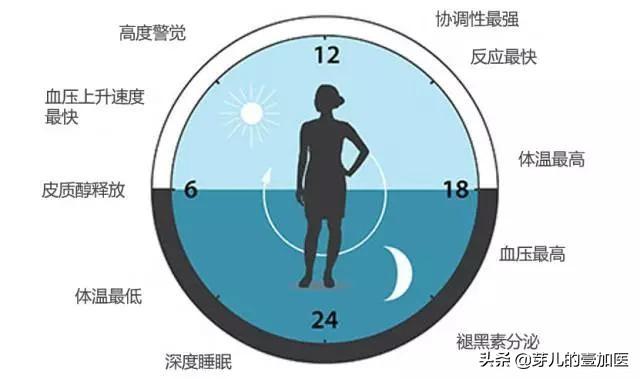 子午流注图(子午流注十二时辰养生漫画图解)