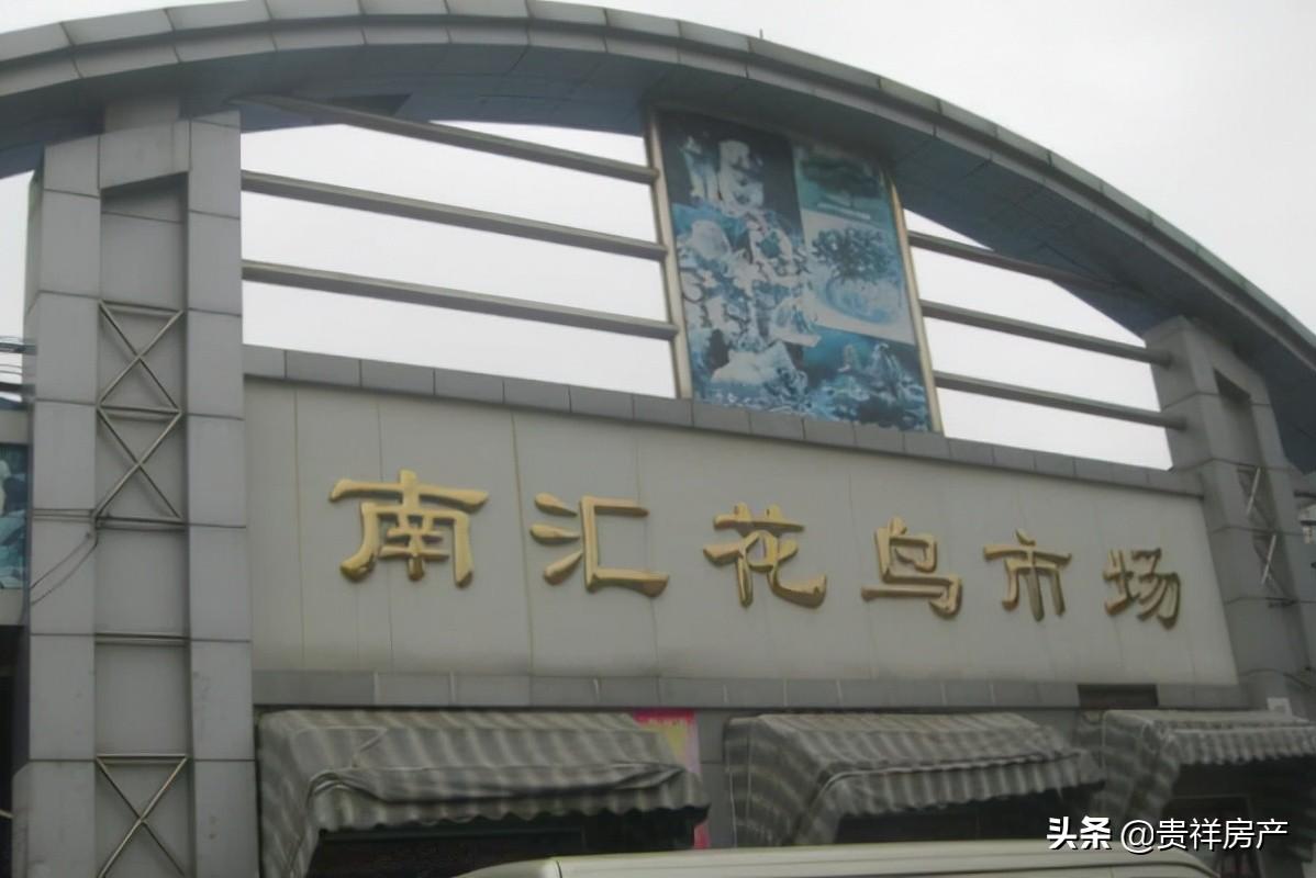 北京花鸟鱼虫市场（北京哪里还有花鸟鱼虫市场？）